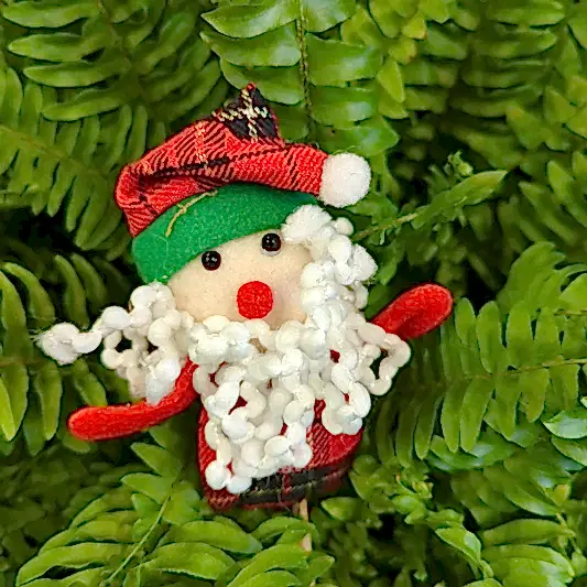 Tartan Santa | Decorative Plant Pot Accessory | Gardening Accessories