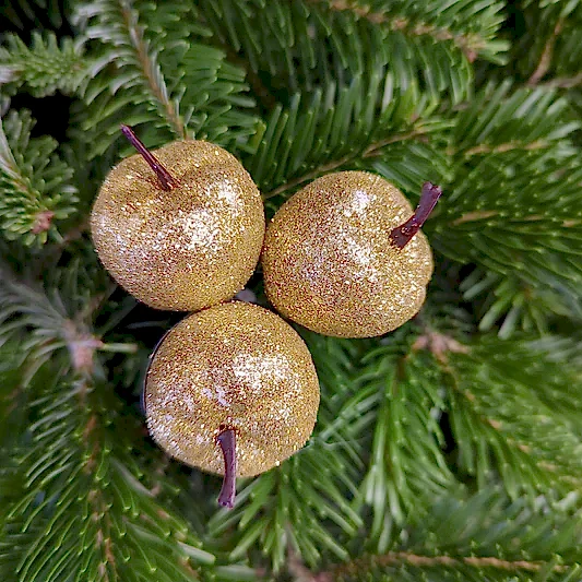 Sparkle Gold Apples | Decorative Plant Pot Accessory | Gardening Accessories