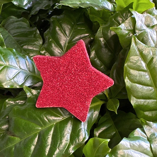 Bouncy Red Star | Decorative Plant Pot Accessory | Gardening Accessories