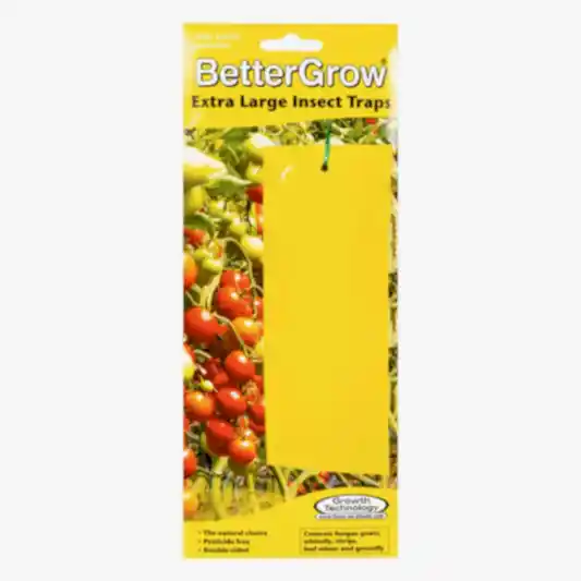 BetterGrow Extra Large Insect Traps | Gardening Accessories