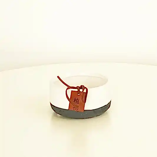 Feng Shui Ceramic Bowl | White | Pots & Planters