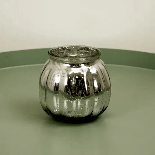 Silver Votive | Potted Houseplants