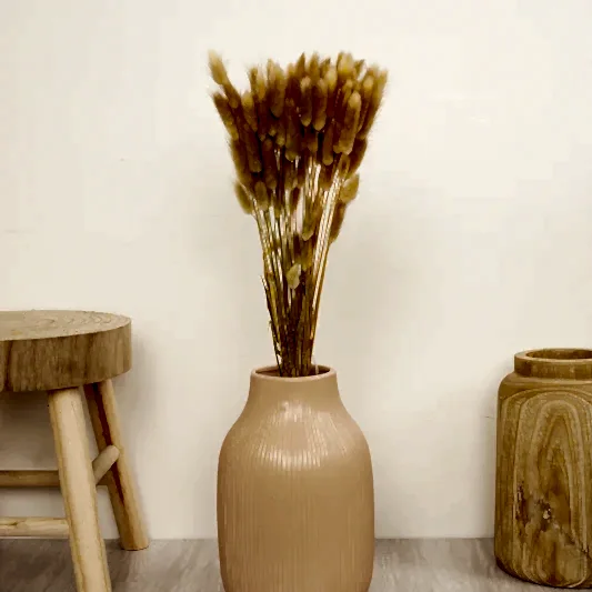Bunny Tails Bouquet | Natural | Dried Flowers
