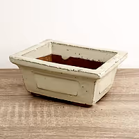 Bonsai Ceramic Pot | Ivory - Ceramic Plant Pot