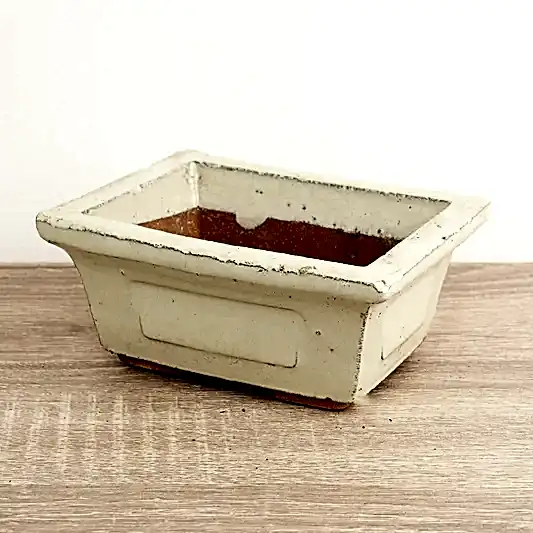 Bonsai Ceramic Pot | Ivory | Pots & Planters