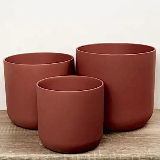 Imperfect! Lisbon Pot | Blush Rose | Pots & Planters