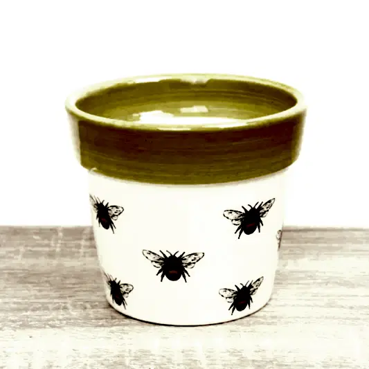 Bumble Bee Pot | Yellow | Pots & Planters