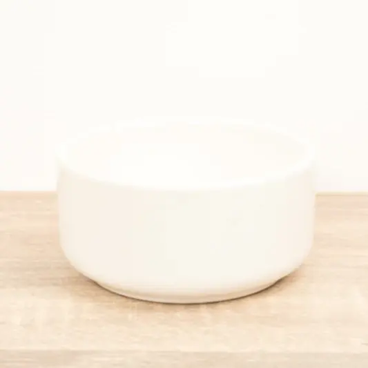 Lucky Bamboo Ceramic Bowl | White | Pots & Planters