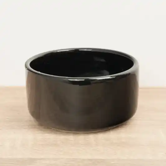 Lucky Bamboo Ceramic Bowl | Black | Pots & Planters