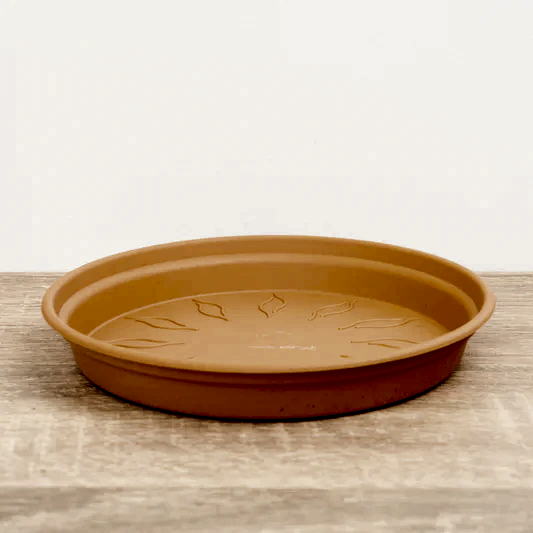 Round Saucer | Terracotta | Pots & Planters