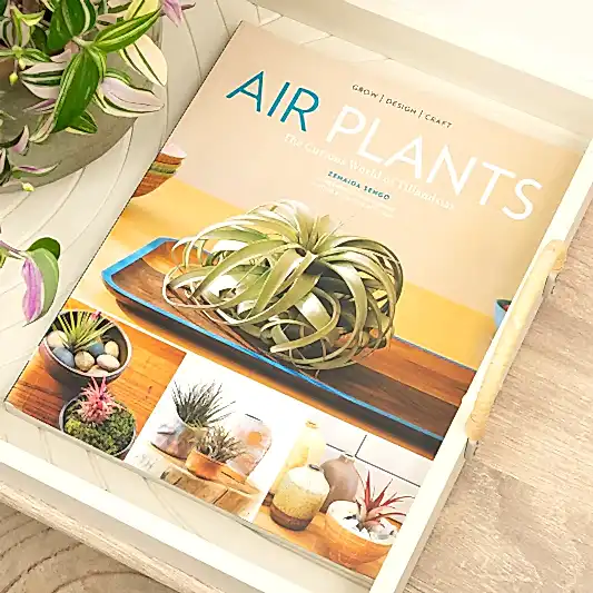 Air Plants: The Curious World of Tillandsias by Zenaida Sengo | Books