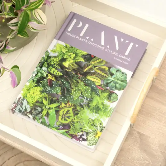 Plant - Houseplants: Choosing, Styling, Caring by Gynelle Leon | Books