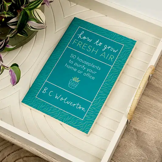 How to Grow Fresh Air - 50 Houseplants to Purify Your Home or Office by B. C. Wolverton | Books
