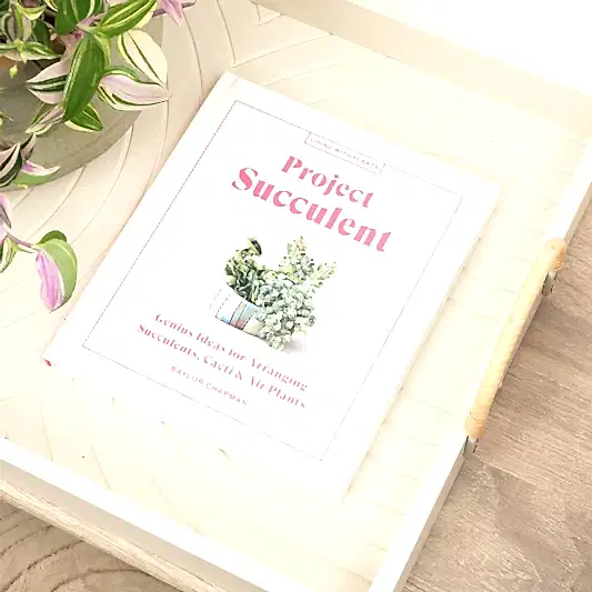 Project Succulent - Genius Ideas for Arranging Succulents, Cacti and Air Plants by Baylor Chapman | Books