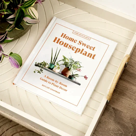 Home Sweet Houseplant: A Room-by-Room Guide to Plant Decor by Baylor Chapman | Books