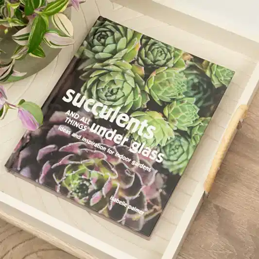 Succulents and All Things Under Glass - Ideas and Inspiration for Indoor Gardens | Books