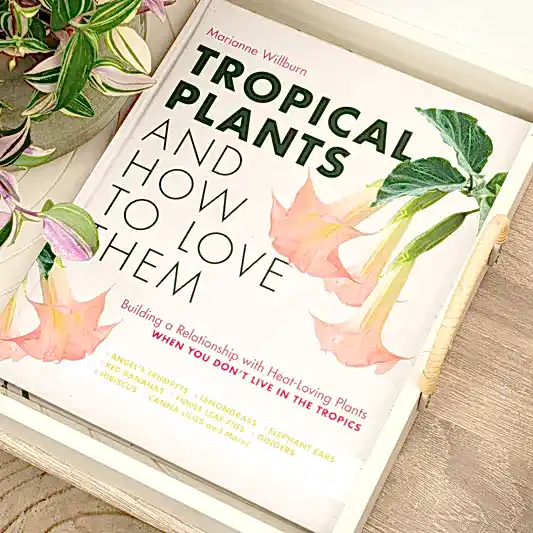 Tropical Plants and How To Love Them by Marianne Willburn | Books