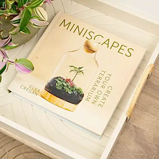 Miniscapes - Create Your Own Terrarium by Clea Cregan | Books
