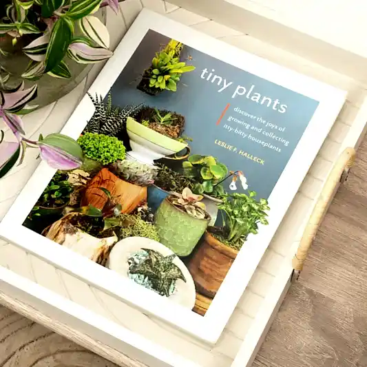 Tiny Plants by Leslie F. Halleck | Books