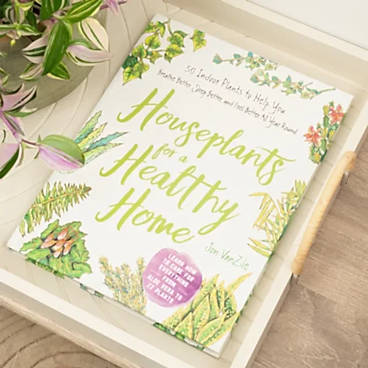Houseplants for a Healthy Home By Jon Vanzile | Books