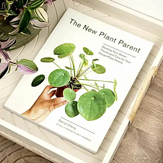The New Plant Parent by Darryl Cheng | Books