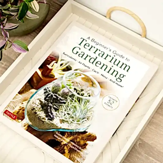A Beginner's Guide to Terrarium Gardening, Succulents, Air Plants, Cacti, Moss and more! | Books