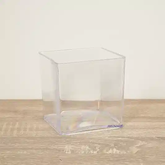 Acrylic Cube Terrarium | Christmas