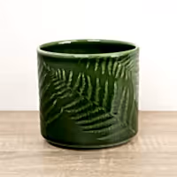 Orla Fern Pot | Green - Ceramic Plant Pot
