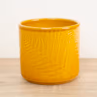Orla Glazed Fern Pot | Mustard - Ceramic Plant Pot