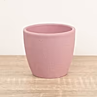 Pastel Ceramic Pot | Rose Pink - Ceramic Plant Pot