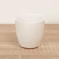 Plain Jane Pot | White - Ceramic Plant Pot