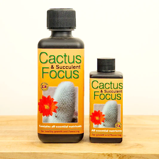 Cactus & Succulent Focus  - Plant Food | Fertilizers