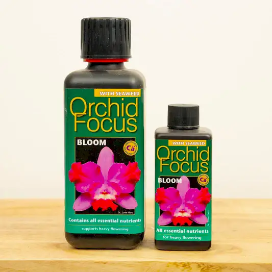 Orchid Focus Bloom - Plant Food | Fertilizers