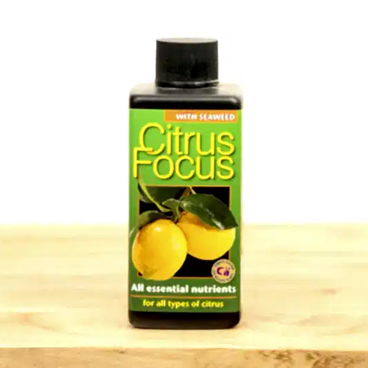 Citrus Focus - Plant Food | Fertilizers