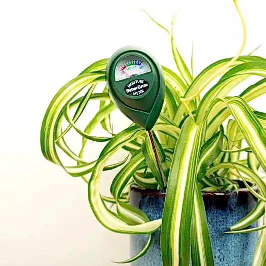 Bettergrow Soil Moisture Meter | Gardening Tools