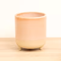 Jolie Rose Matte Reactive Pot with Feet - Ceramic Plant Pot