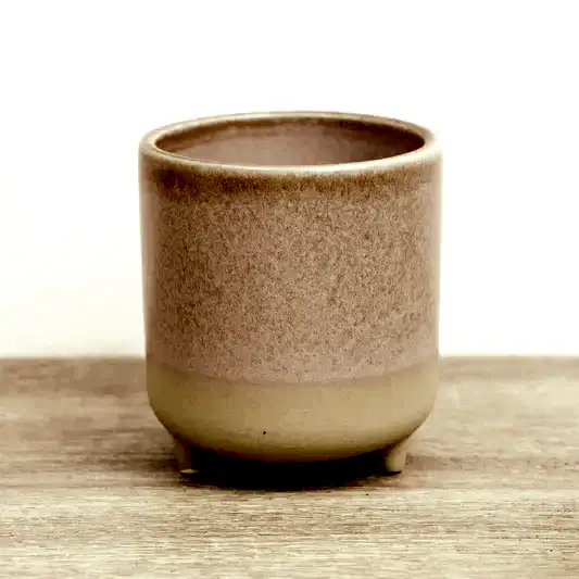 Jolie Rose Matte Reactive Pot with Feet | Pots & Planters