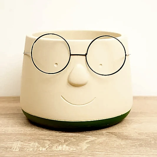Happy Plant Pot with Glasses | Green | Pots & Planters