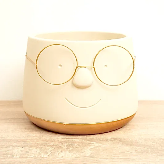 Happy Plant Pot with Glasses | Gold | Pots & Planters