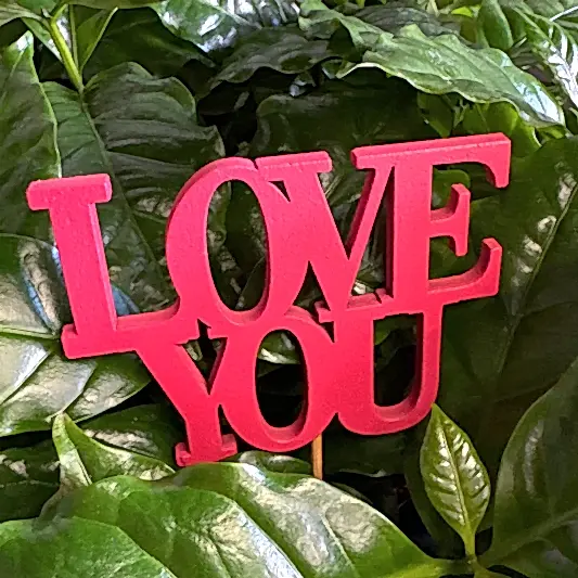 Love You | Decorative Plant Pot Accessory | Gardening Accessories