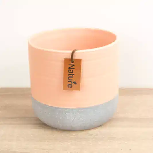 Imperfect! Evie Pot | Tropical Peach | Pots & Planters