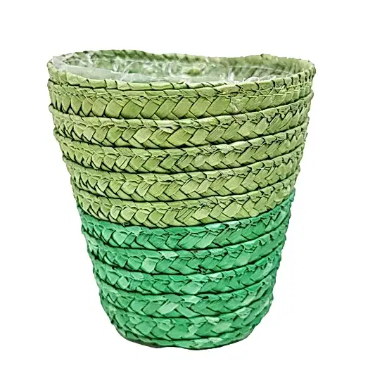 Woven Pot | Green | Pots & Planters