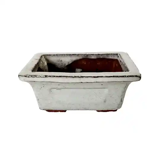 Bonsai Ceramic Pot | Ivory | Pots & Planters