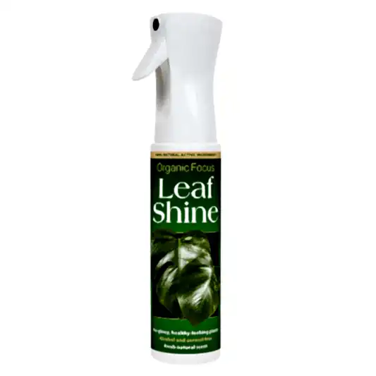 Organic Focus Leaf Shine | Gardening Accessories