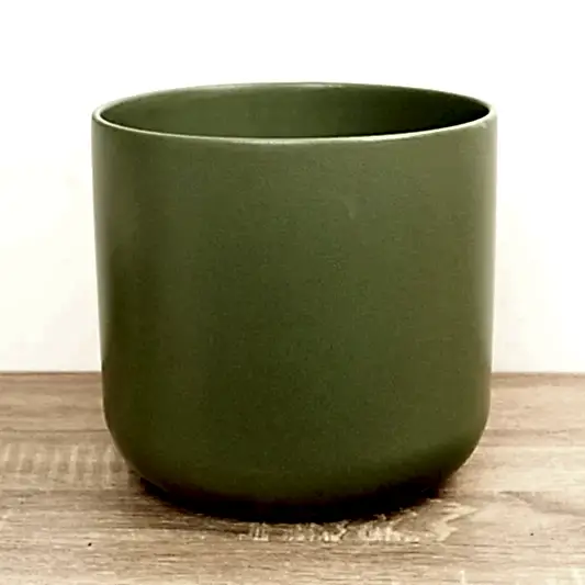 Lisbon Pot | Sage Green | Pots & Planters