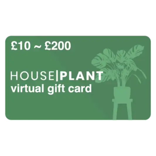 Houseplant Gift Card | Ficus & Fig Plants