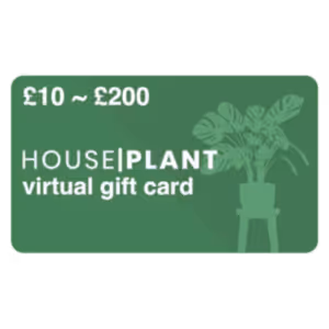 Houseplant Gift Card - Indoor Plant