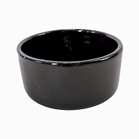 Lucky Bamboo Ceramic Bowl | Black | Pots & Planters