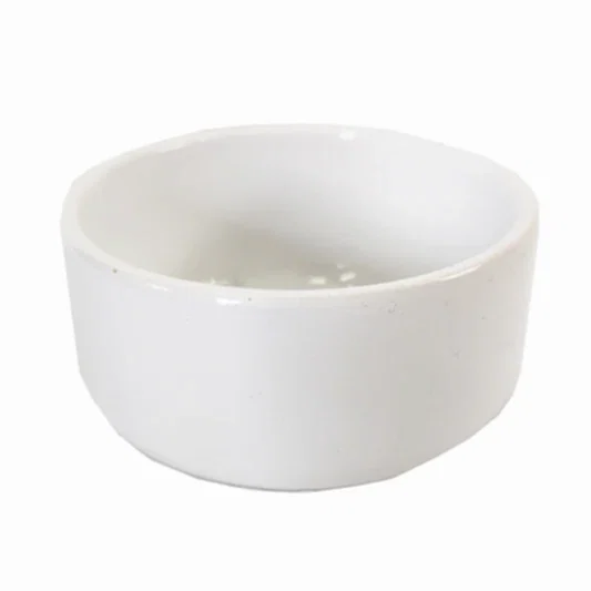 Lucky Bamboo Ceramic Bowl | White | Pots & Planters