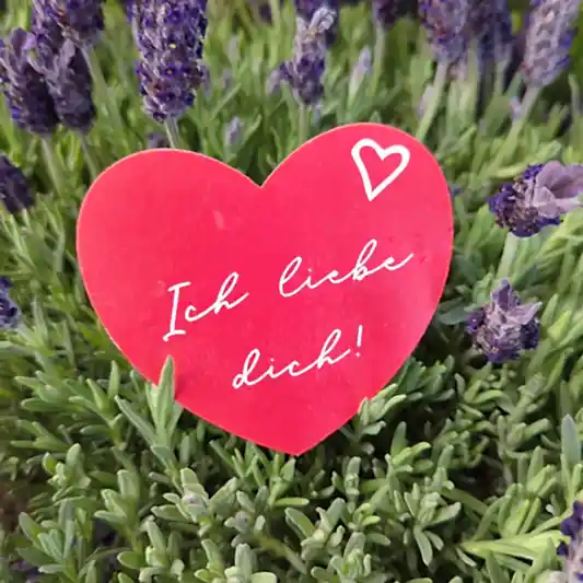 Ich Liebe Dich! Heart | Decorative Plant Pot Accessory | Gardening Accessories